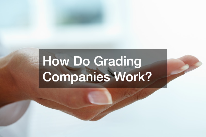 How Do Grading Companies Work?